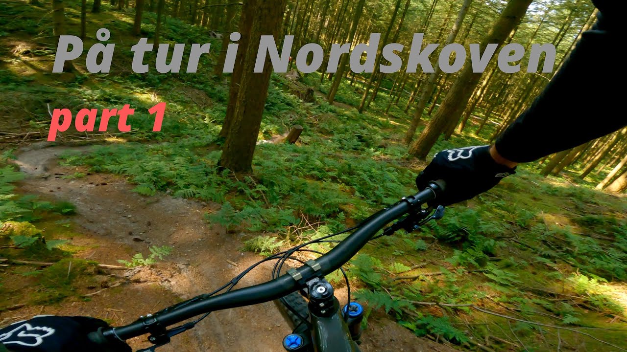 Nordskoven Silkeborg part 1