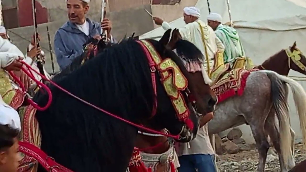 مهرجان مكناسة فورجة ممتعة
