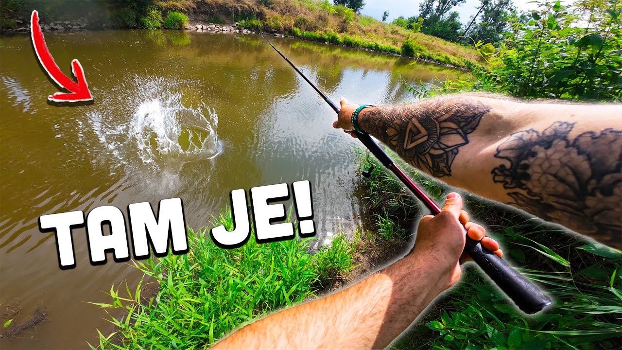 Jak chytit POKAŽD&Eacute; dravce na př&iacute;vlač. (A kde je hledat!)