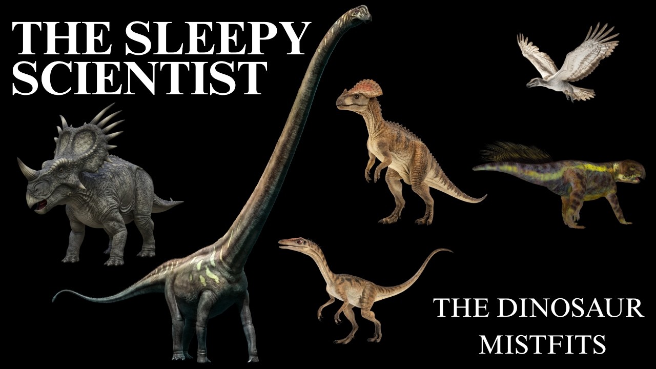 The Weirdest Dinosaurs That Ever Lived | The Sleepy Scientist