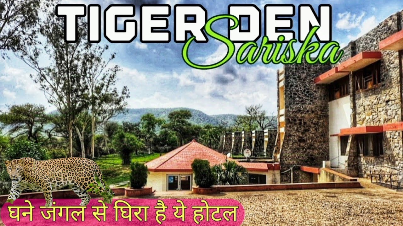 Tiger Den Sariska by RTDC #sariska #vlog #wildlife #rajasthan #youtube #jungle #travel #yt#alwar