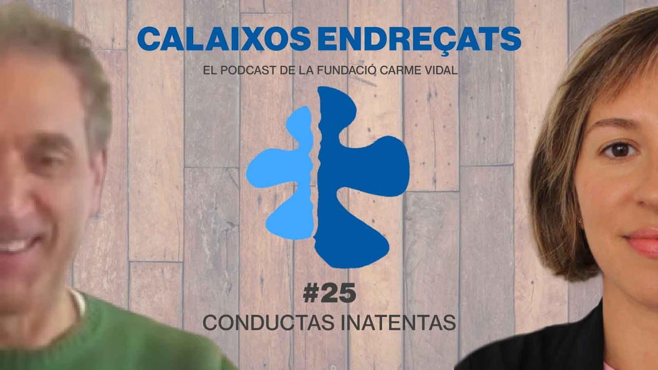 Capítulo 25: Conductas inatentas: cuando el malestar dificulta el aprendizaje