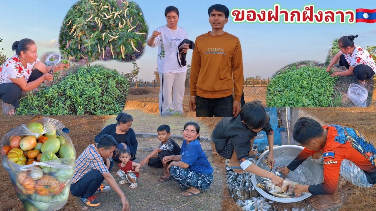 พี่ชายบ่าวแป๊บจะกลับไทยพรุ่งนี้ ญาติพี่น้องเก็บของฝากให้ 1 มีนาคม ค.ศ. 2026