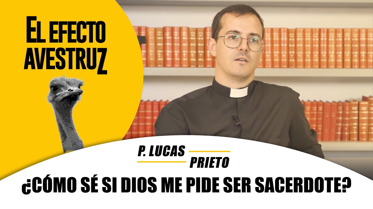 ¿Cómo sé si Dios me pide ser sacerdote? P. Lucas Prieto || EFECTO AVESTRUZ