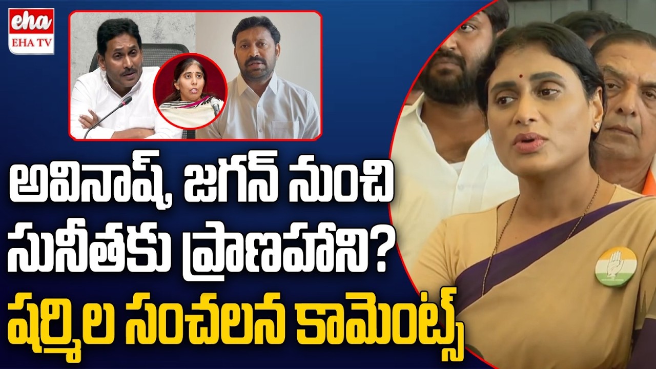 YS Sharmila Shocking Comments On MP Avinash Reddy | YS Sunitha Reddy | Viveka Case | EHA TV