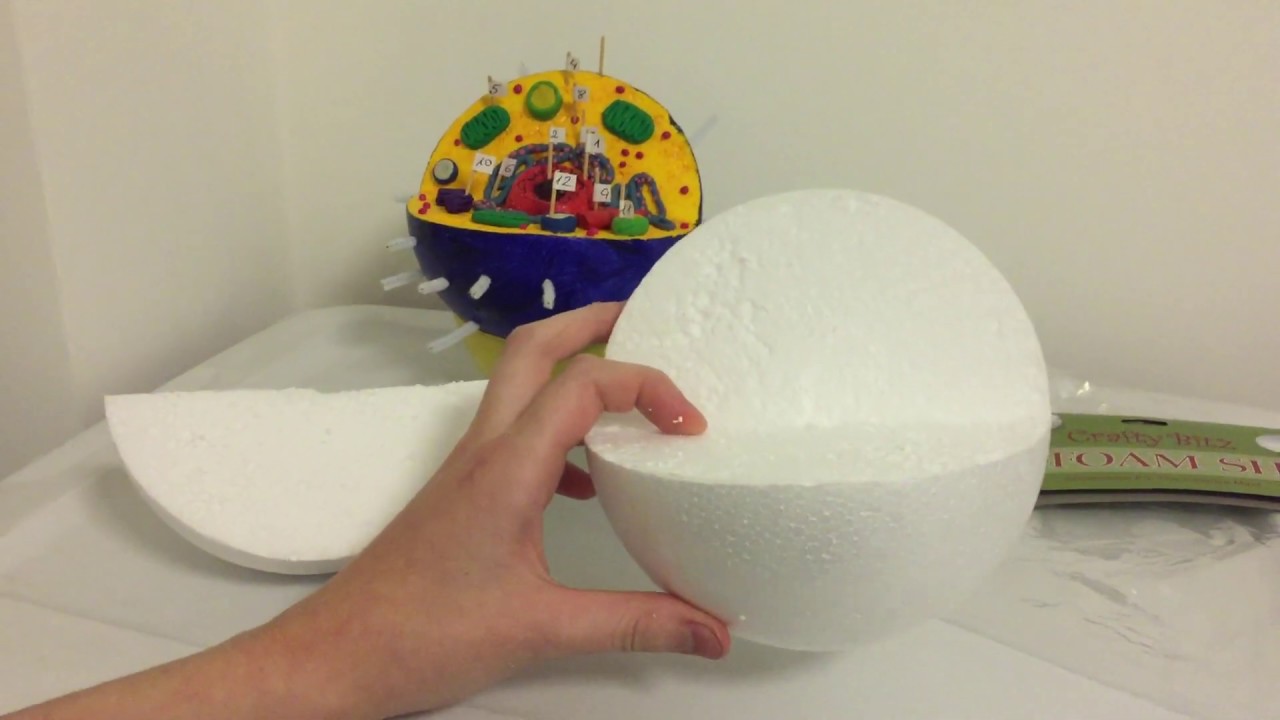 HACKS FOR CARVING A CELL MODEL -Step 1: Carving the 3D Cell Model Ball