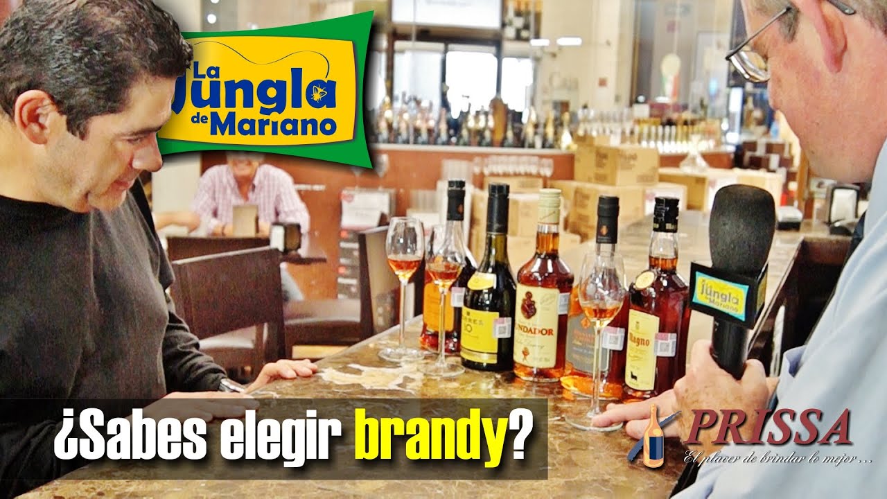 &iquest;Sabes elegir brandy?