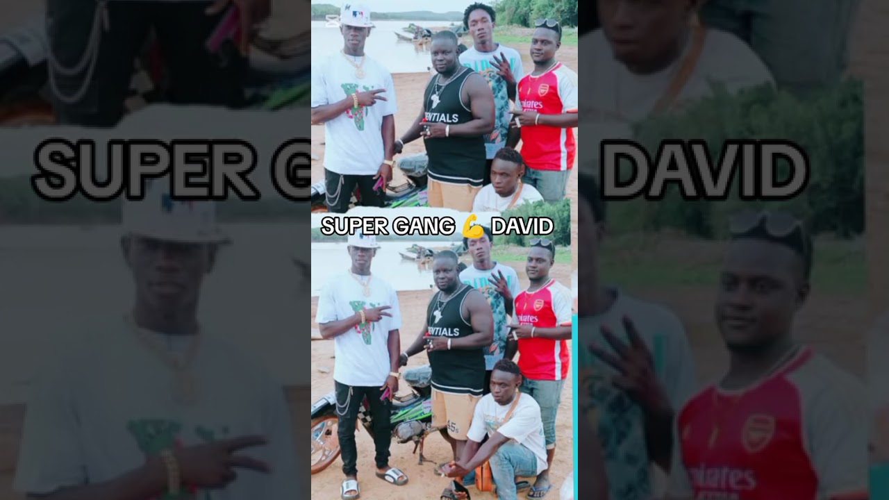 SUPER GANG DAVID