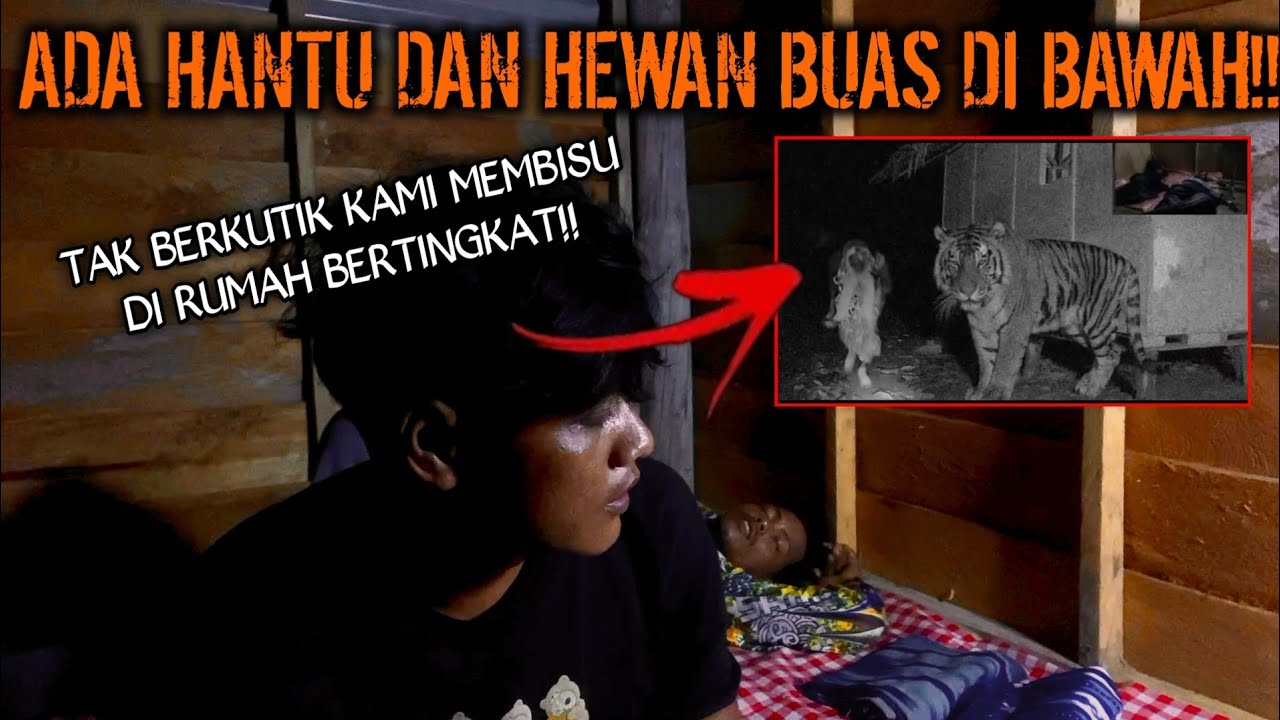 CAMPING HOROR TAK BERKUTIK HANTU DAN HEWAN BUAS DI BAWAH MENGINTAI KAMI!!