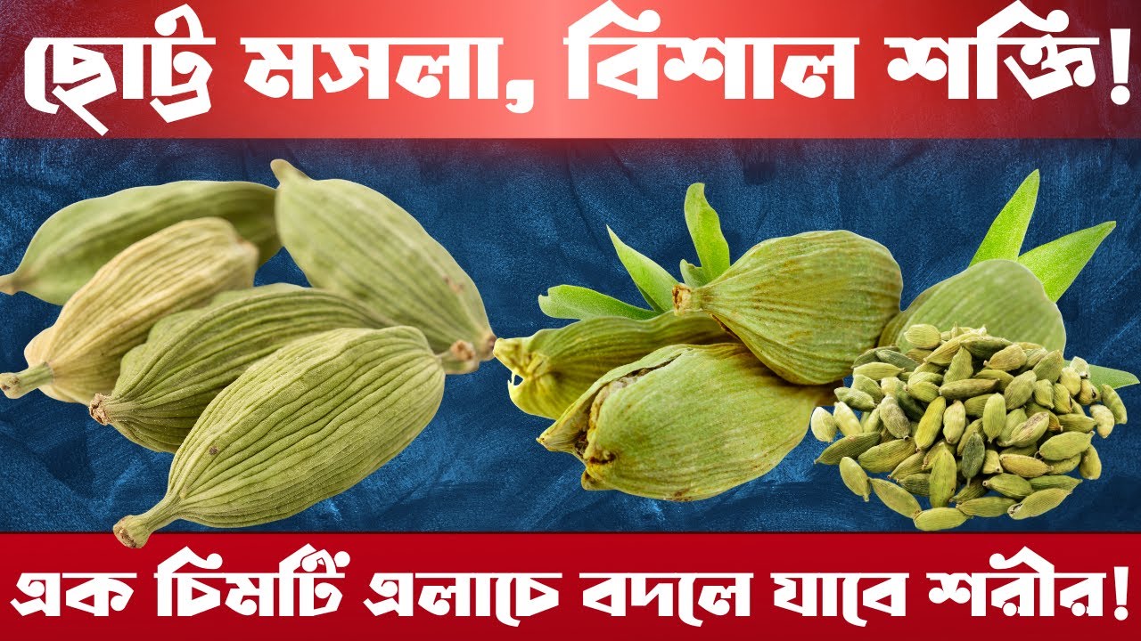 এলাচের অবিশ্বাস্য গুণ  ছোট্ট মসলা, বিশাল স্বাস্থ্য উপকারিতা