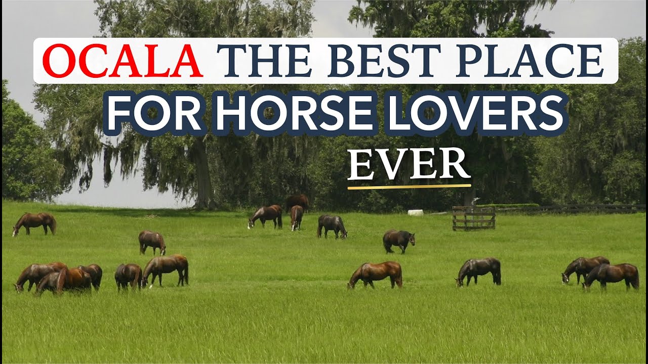 🐎 Explore Florida's Hidden Gem: Ocala – The Horse Capital of the World!
