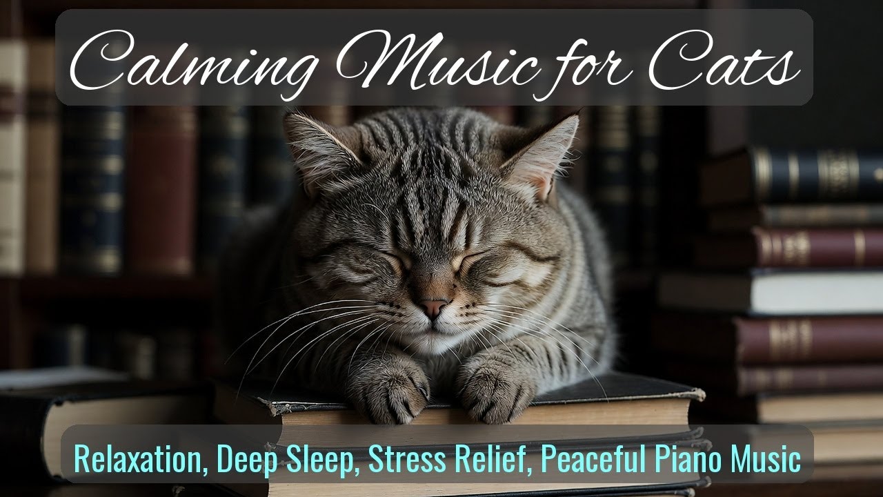Calming Music for Cats - Relaxation, Deep Sleep, Stress Relief, Peaceful Piano Music | Season 23