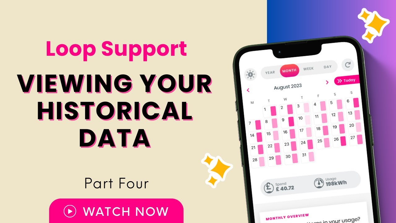 Loop Support - Part Four: Viewing Your Historical Data