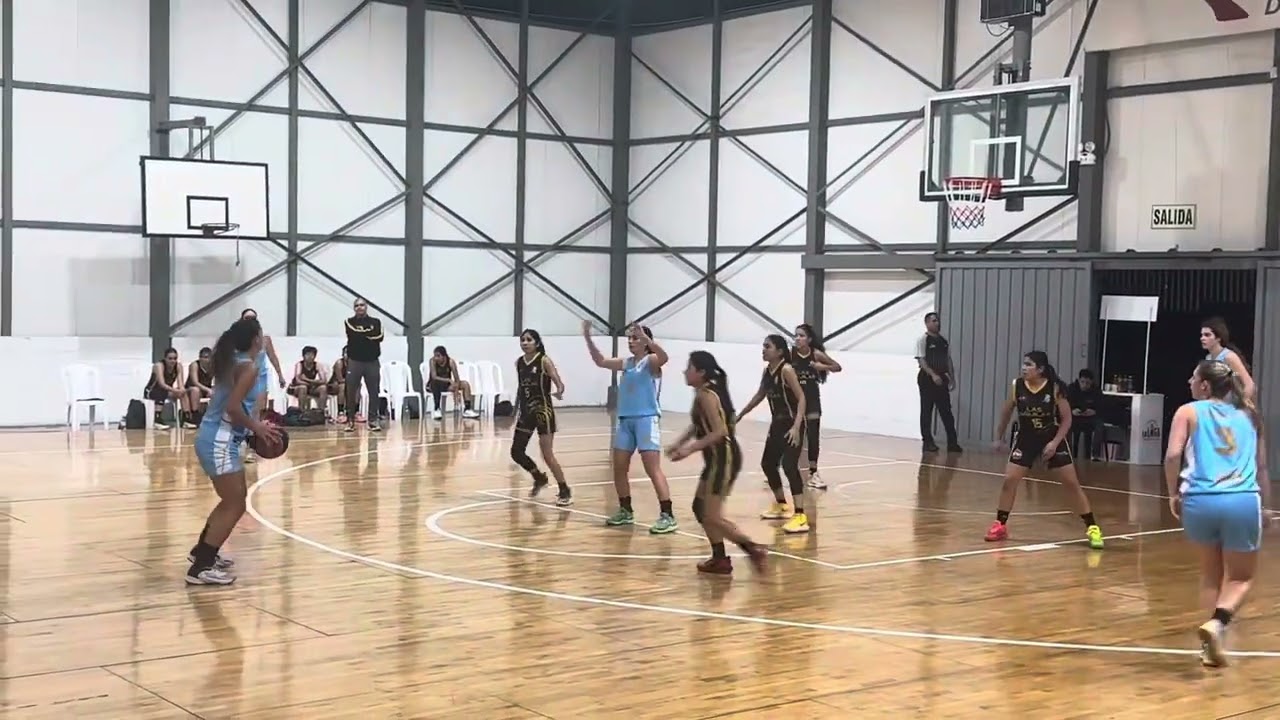 Sub 19 CRL VS DINOSAURIOS NOV 2025