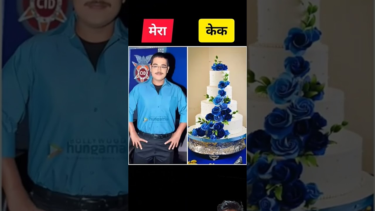 मेरा केक#love #cidbureau # #cif #cidmemories #cake #cidbisback #birthdaycake #cidstory #chocolate