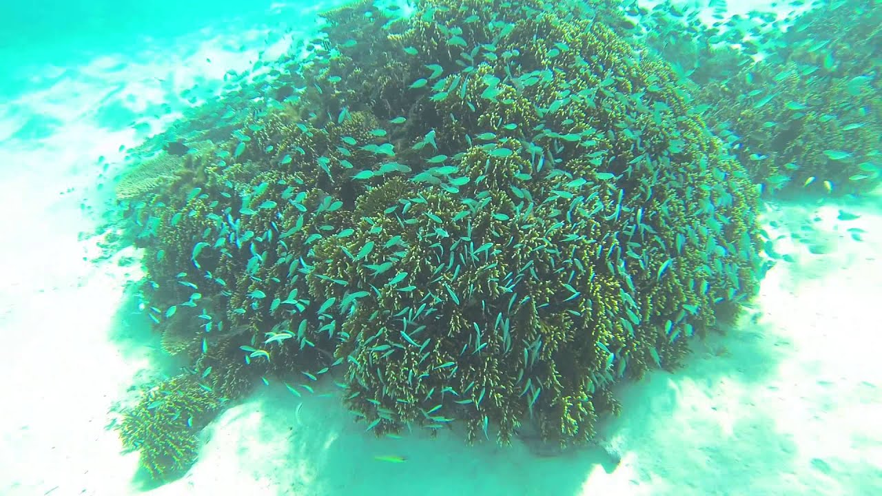 GOPR0003