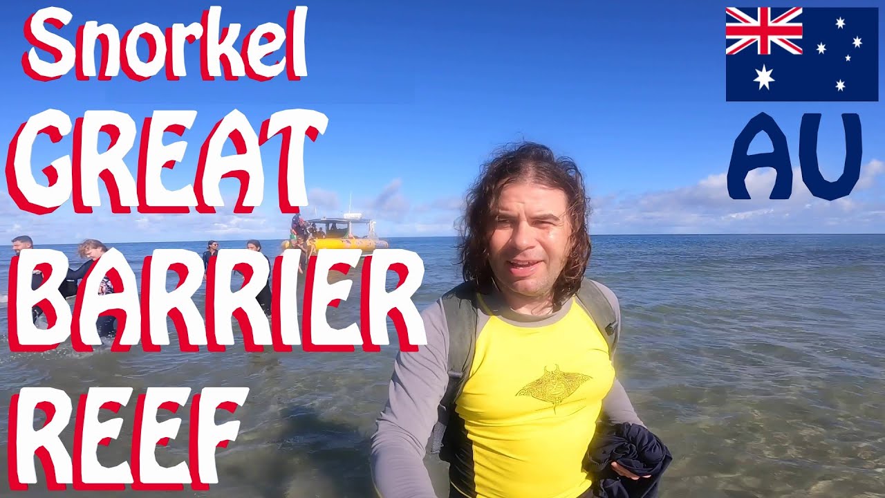 Snorkeling in the GREAT BARRIER REEF,  Cape Tribulation, Australia