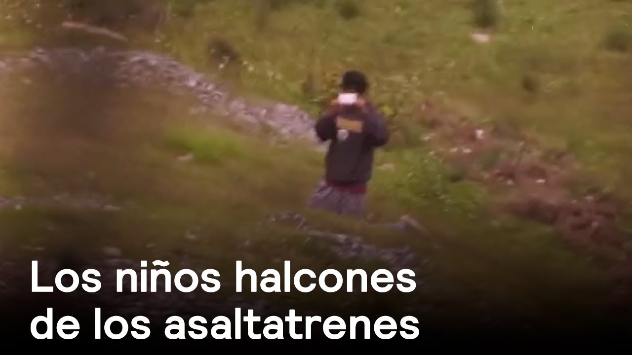 Niños halcones de los asaltatrenes - Inseguridad - En Punto con Denise Maerker