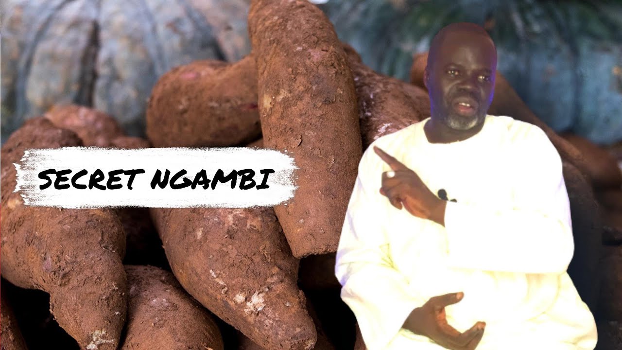 Le Manioc ( Manihot esculenta ) Pr Ousmane Ndiaye - SAMA XALAAT TV