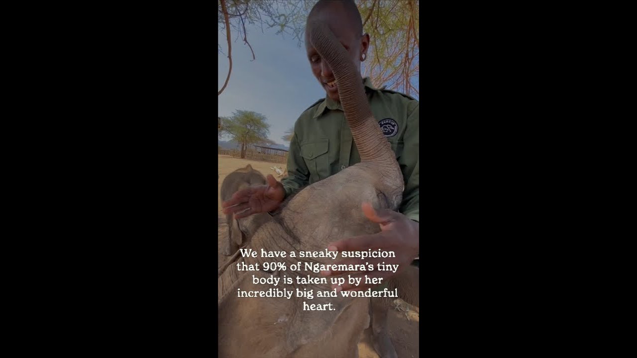 Meet Ngaremara!