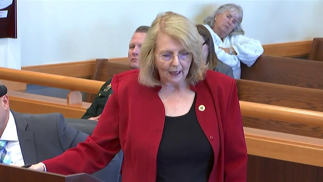 Full testimony: KC Stout with LCSO digital forensics