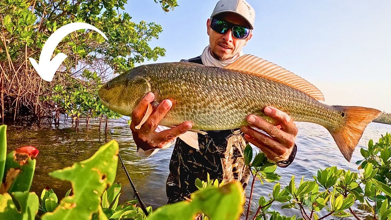 Рыбалка на острове Уэйд | Морской окунь в Шарлотт-Харбор