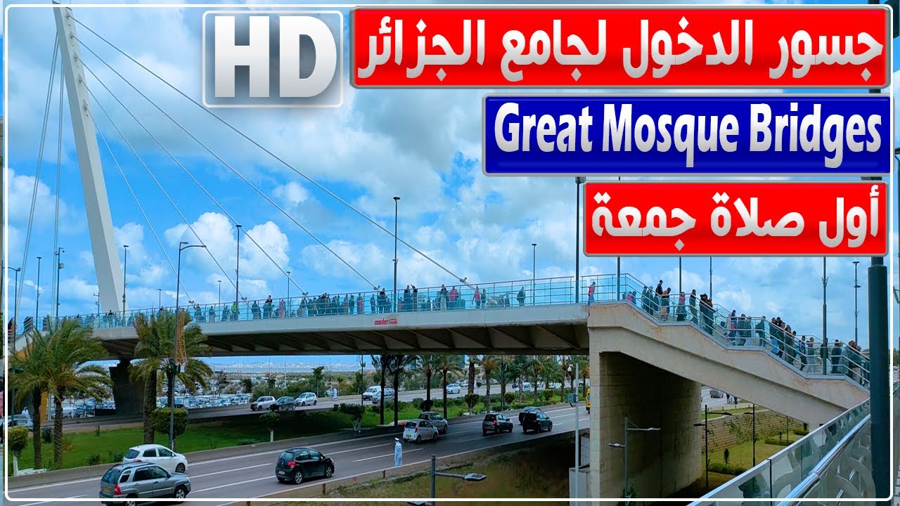 لأول مرة.. مشاهد رائعة من فوق جسور جامع الجزائر لحظة دخول المصلين لأداء أول صلاة جمعة
