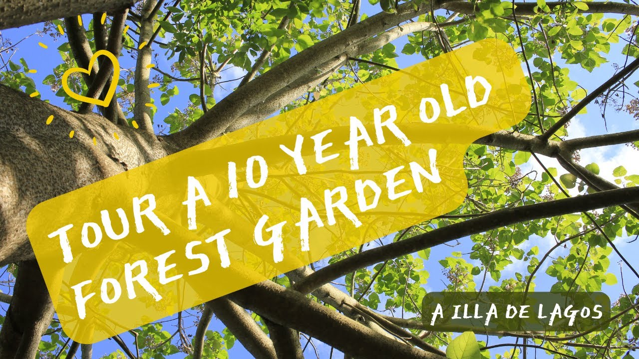 Meet Illa: Tour a 10 Year Old Forest Garden in Spain