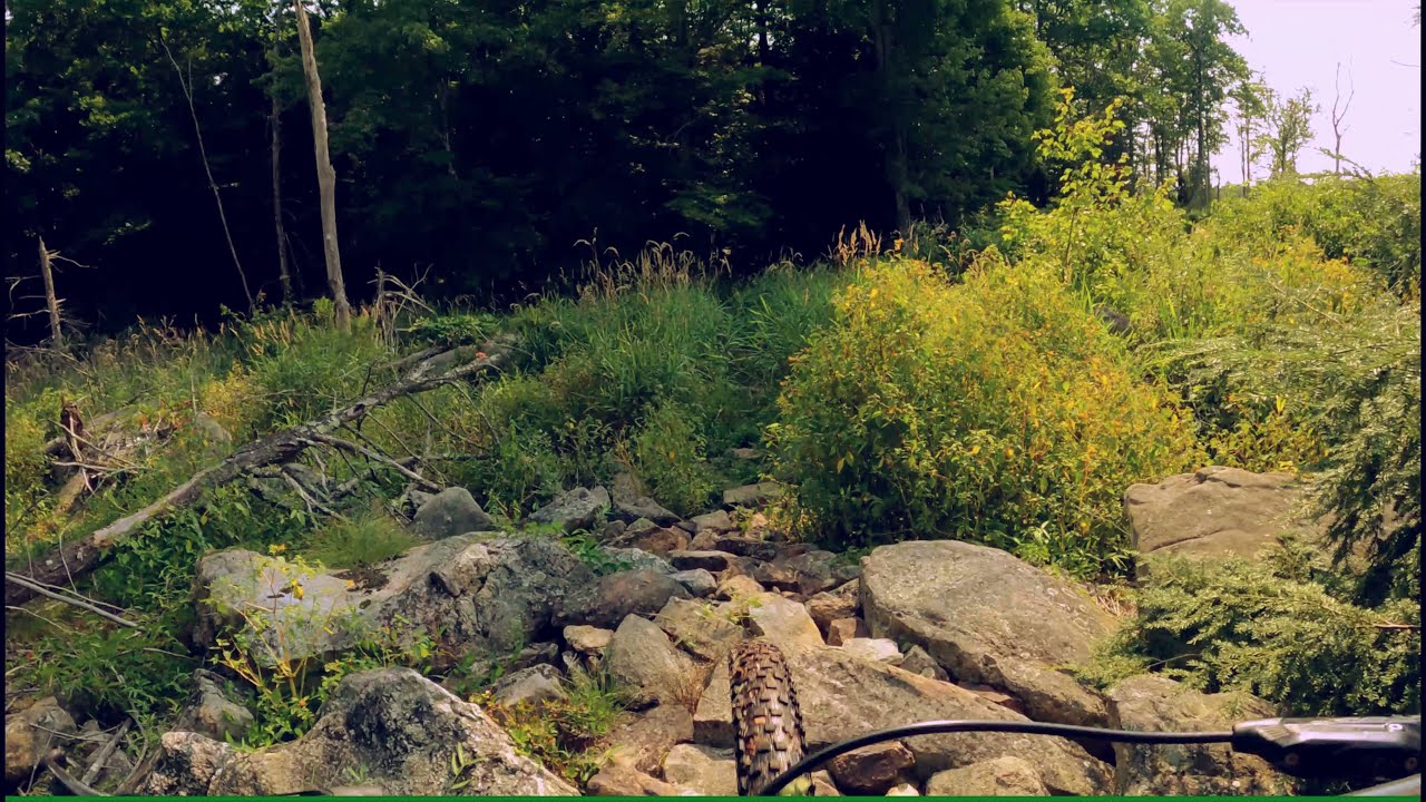 Wawayanda Red Dot Rock Bridge July 22, 2021