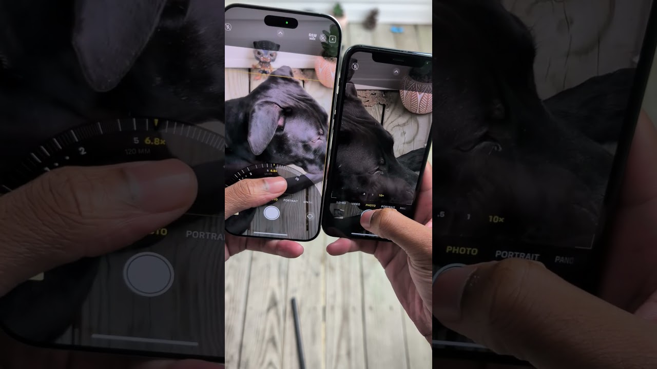 iPhone 11 Pro VS IPHONE 16 Pro Max Camera Zoom Test