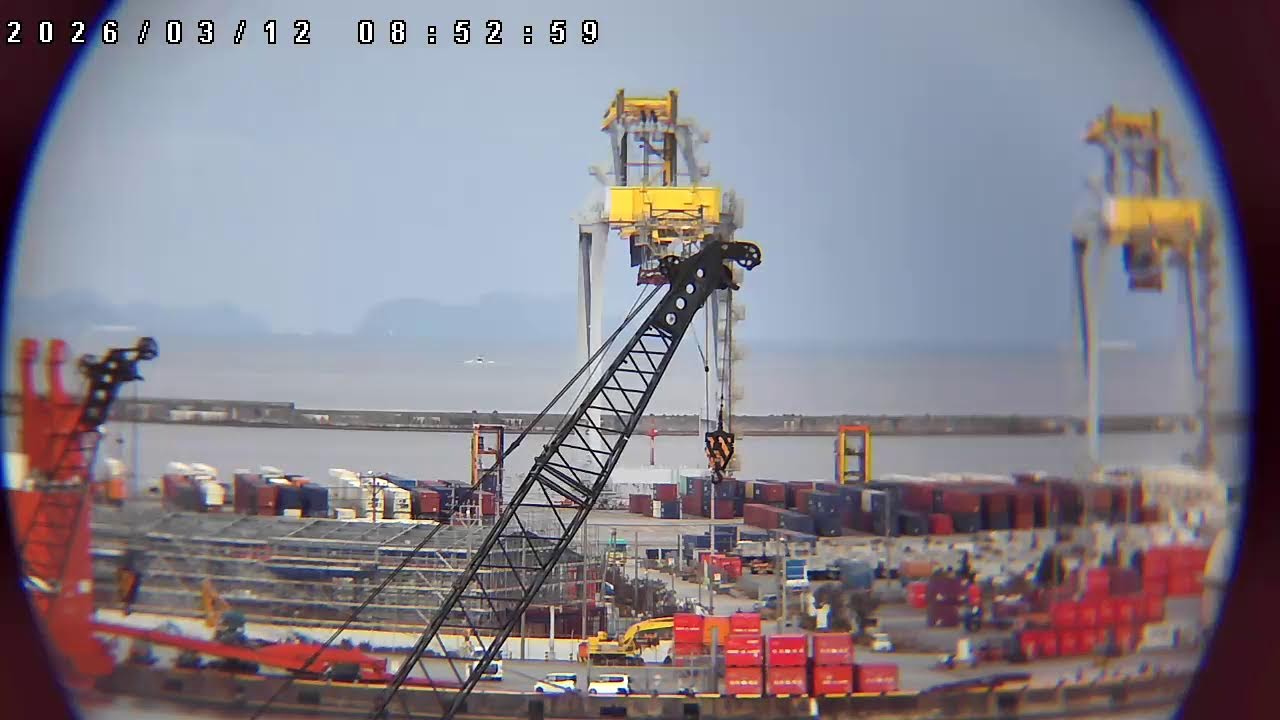 🟤🛳️🚚 #はたらく港  那覇新港   LIVE コンテナ OKINAWA  NAHA PORT  コンテナ船 ガントリークレーン