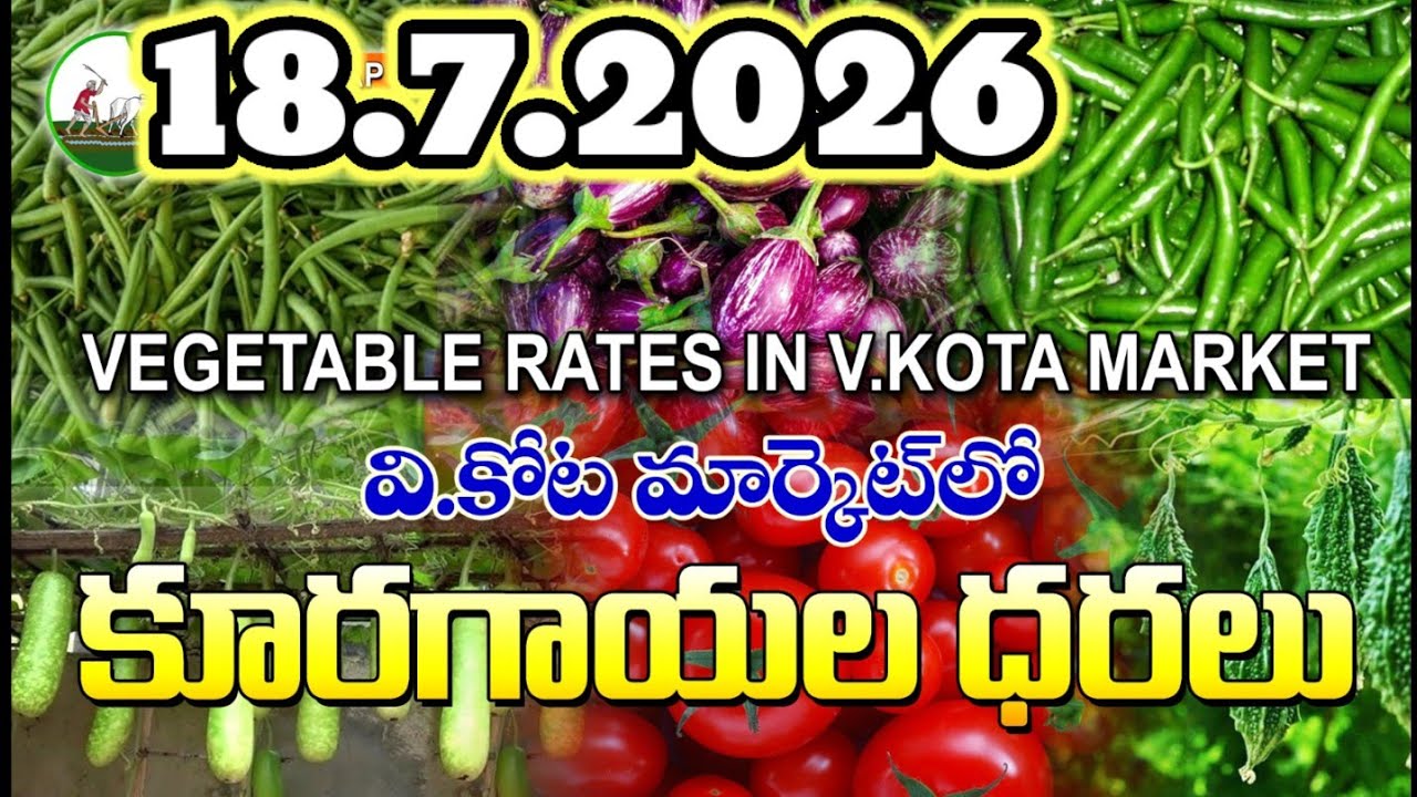 #AMC V.KOTA TODAY BEANS PRICE IN MARKET #ALL VEGETABLE PRICES #marigold 