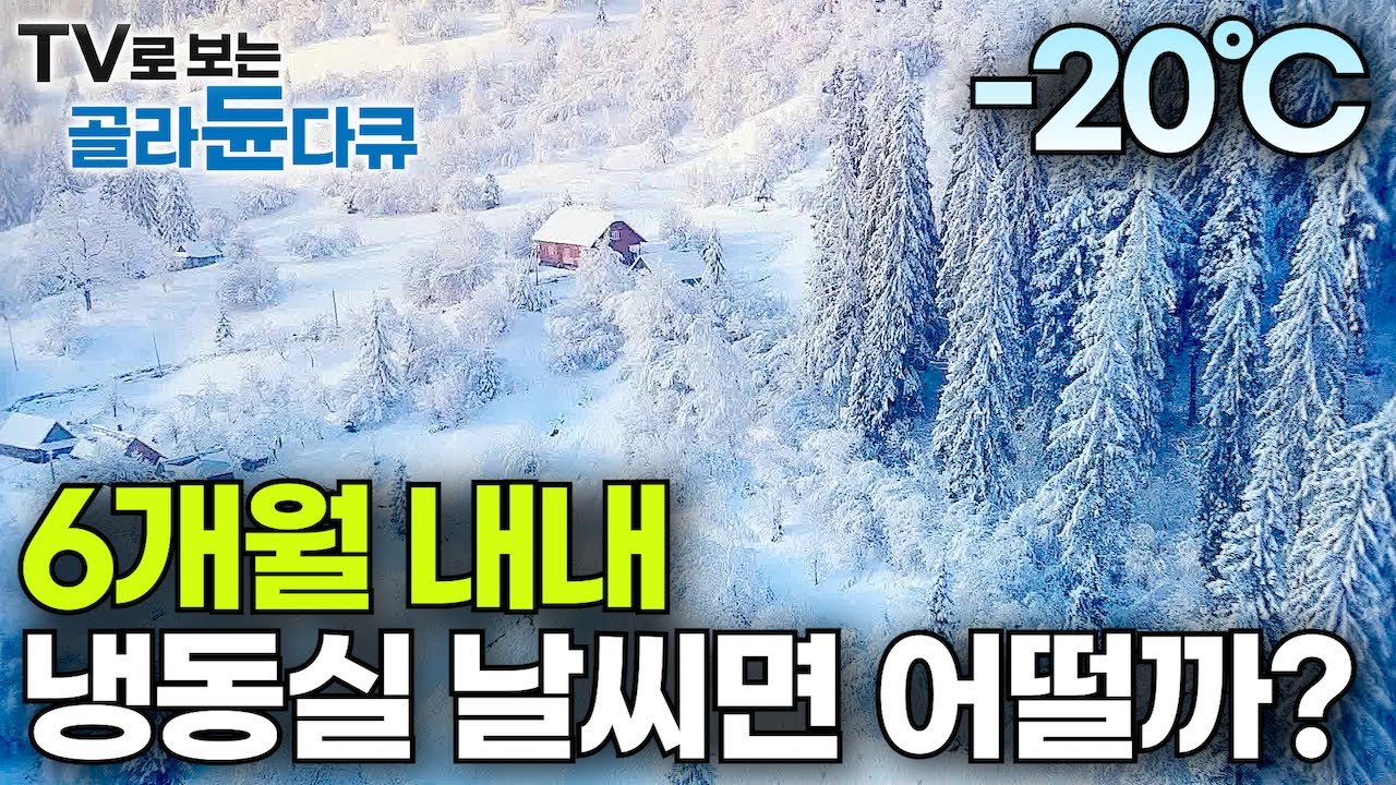 핀란드는 겨울이 6개월❄️ 여름의 끝자락에서 꿈꿔보는 영하 20도 냉동실 겨울 핀란드 여행｜겨울왕국 핀란드가 놀고먹고 사는 법｜북유럽｜세계테마기행｜#골라듄다큐