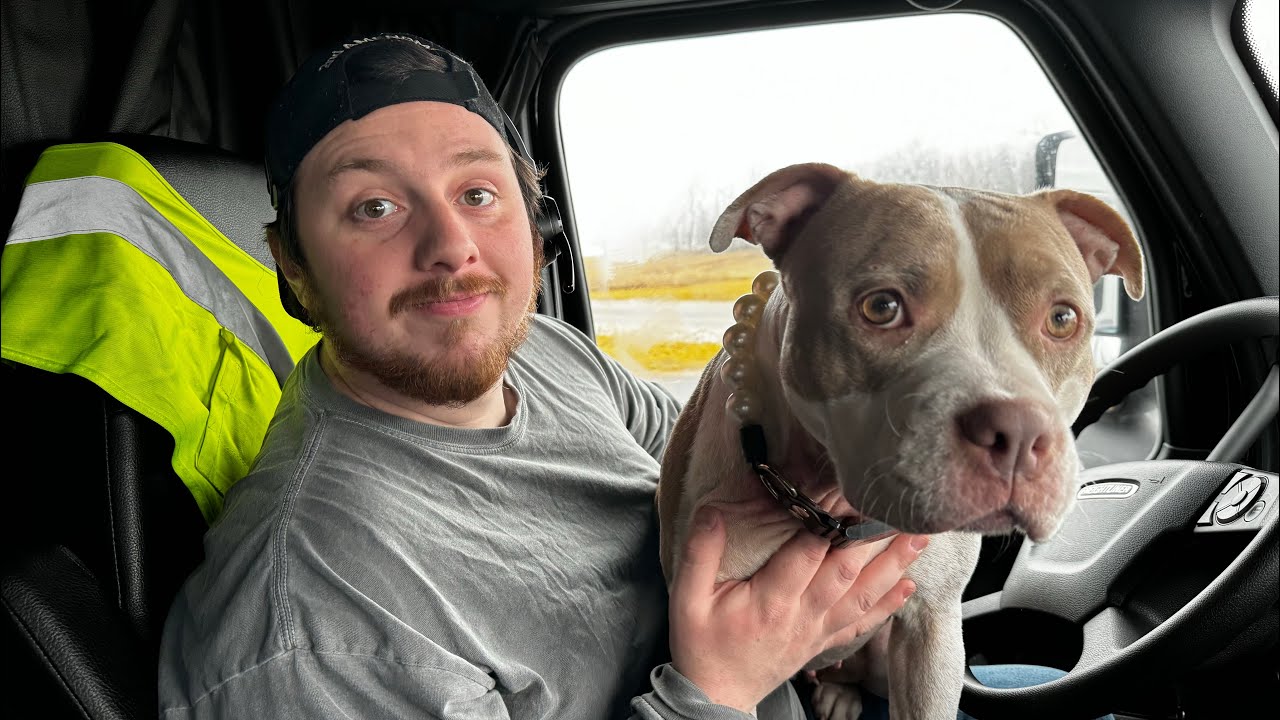 OTR Trucking with a dog - What you need to know! #truckertails #whatyouneedtoknow #otr #primeinc