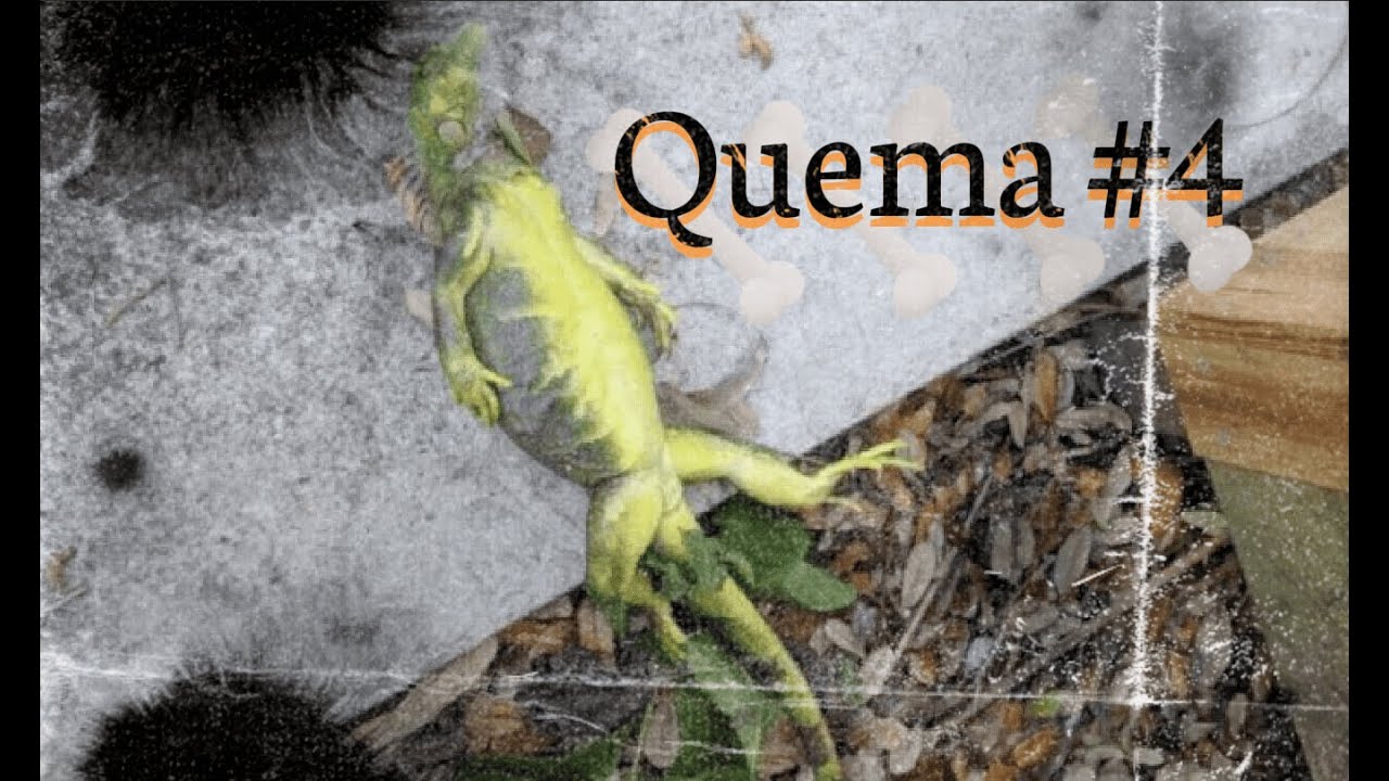 Tuffest - Conman - Randeman Quema #4🦎