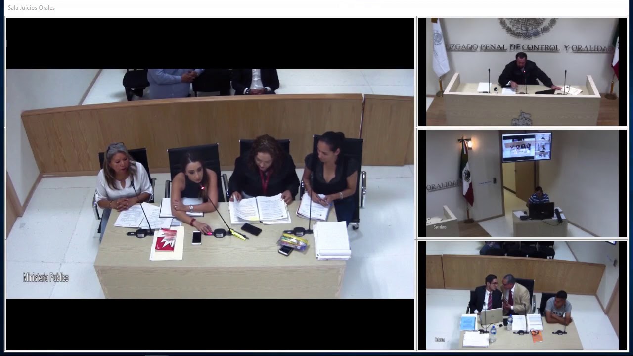 Audiencia inicial, medios de prueba en el plazo constitucional. Robo en su modalidad de uso. 2/3