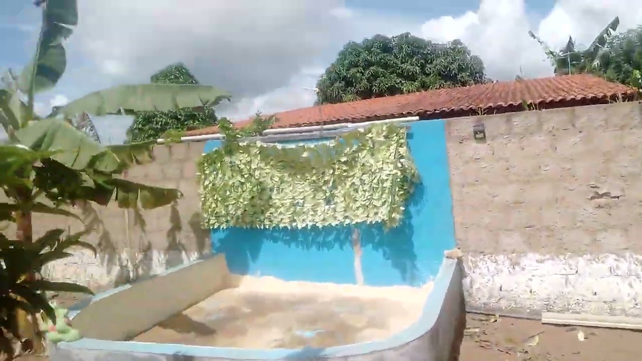 Más uma limpeza na mini chácara -taquarana AL