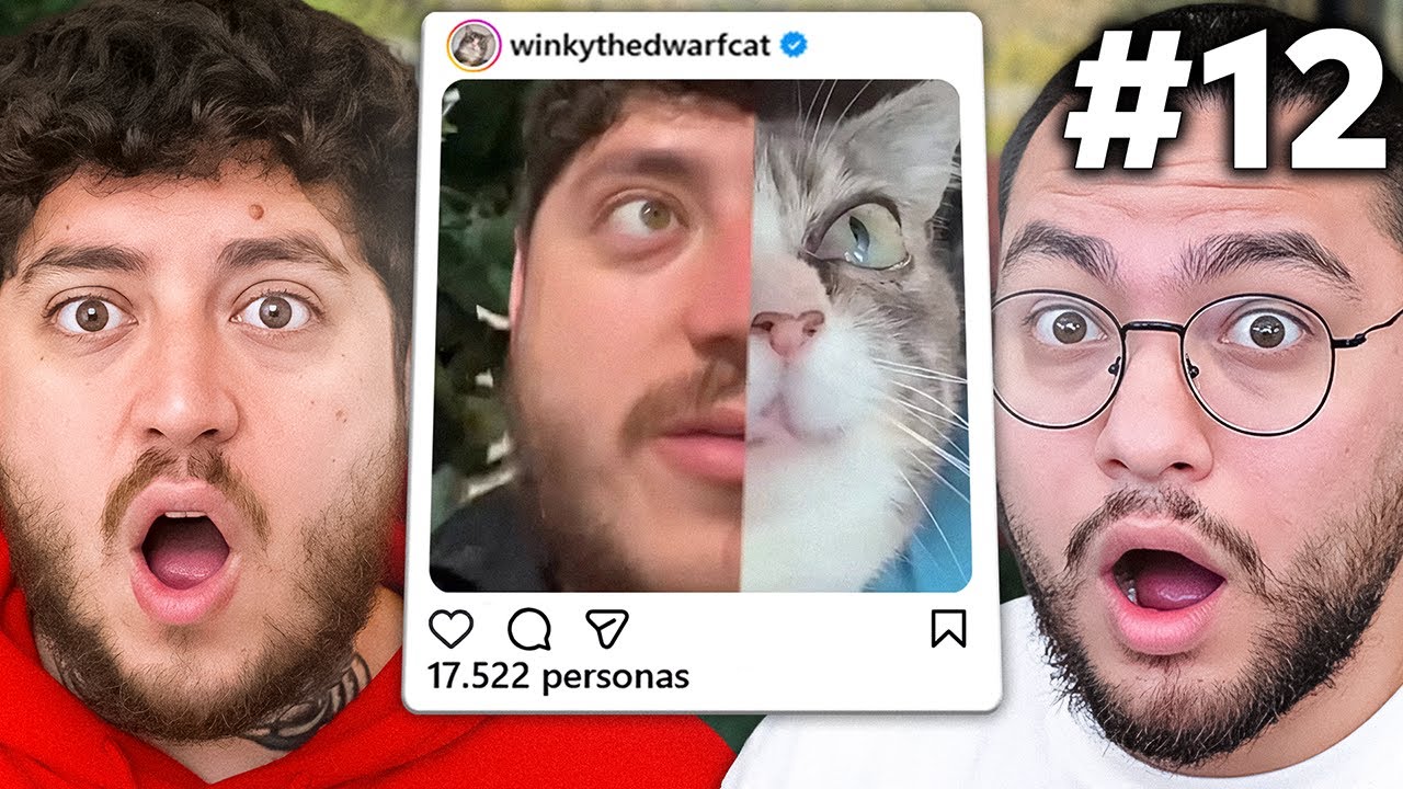 GATOJEY SABE QUE EXISTIMOS! | MMQQE #12