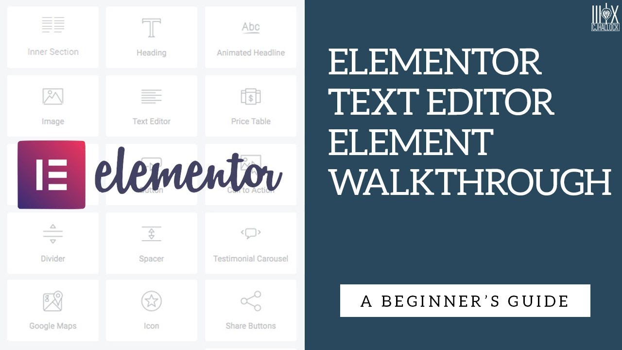 Elementor Text Editor Element