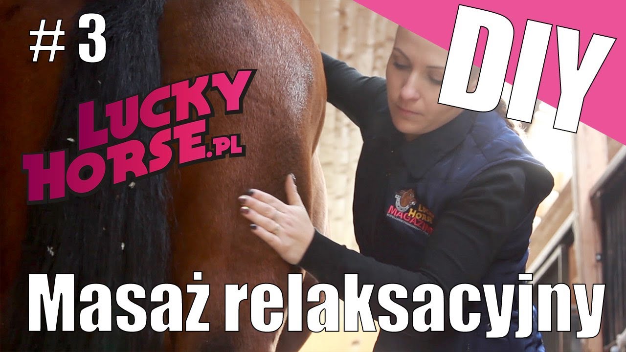 DIY -  Odcinek 3 - masaż dla konia