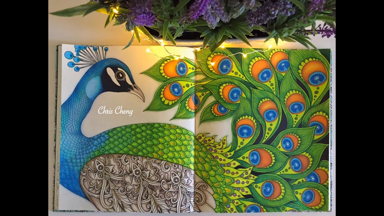 Dagdrömmar Coloring Book | The Peacock | Coloring With Colored Pencils