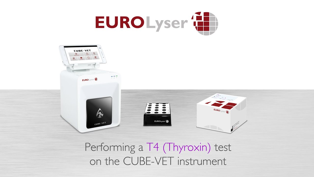 Performing a T4 (Thyroxin) VET test on the EUROLyser CUBE-VET