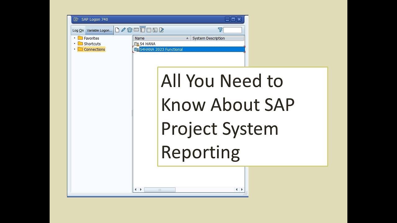 Project System Reporting (Detailed Guide)