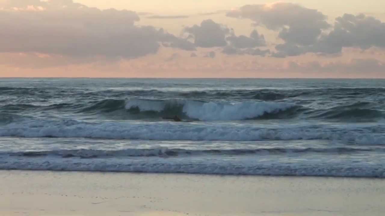 Biarritz 2013