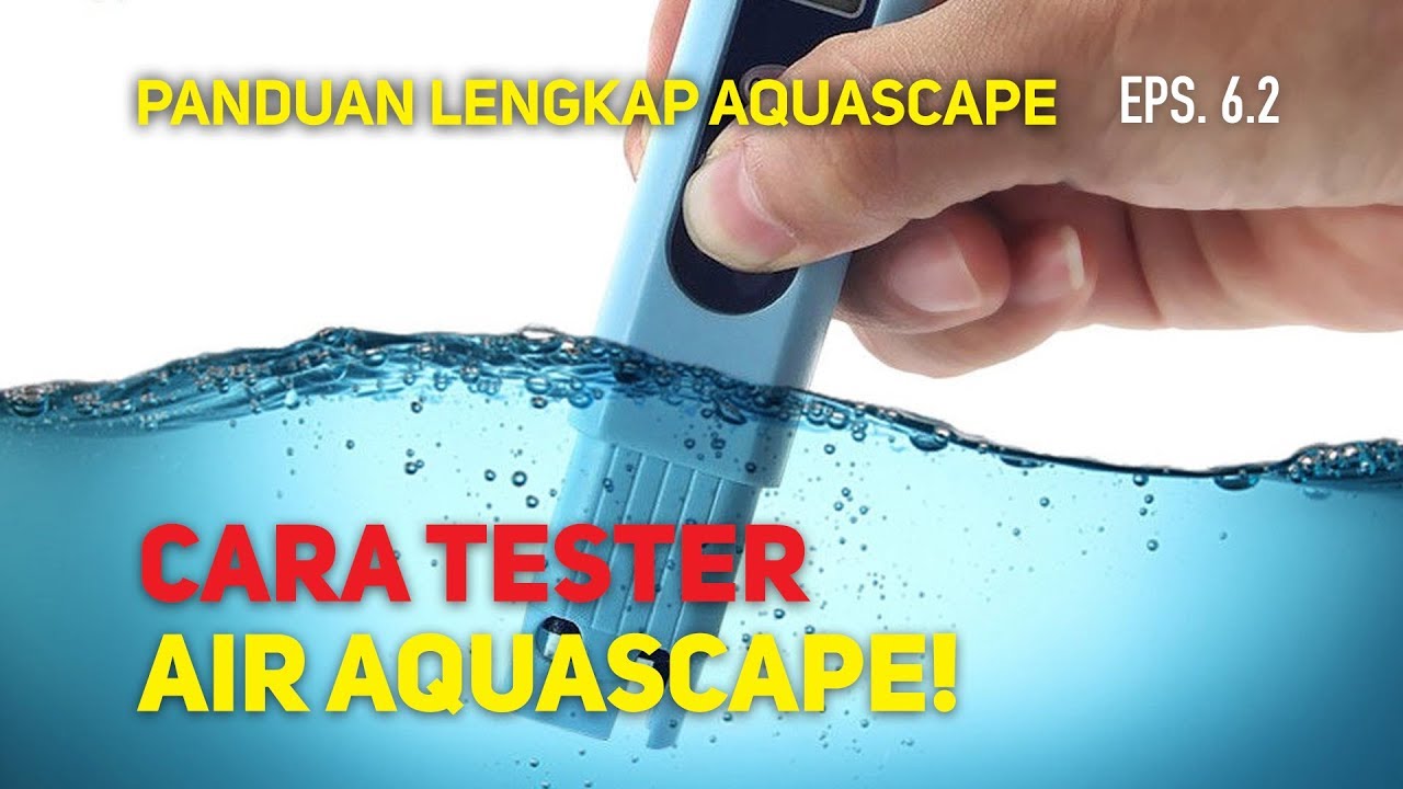 Parameter Air Aquascape - Episode 6 Part 2