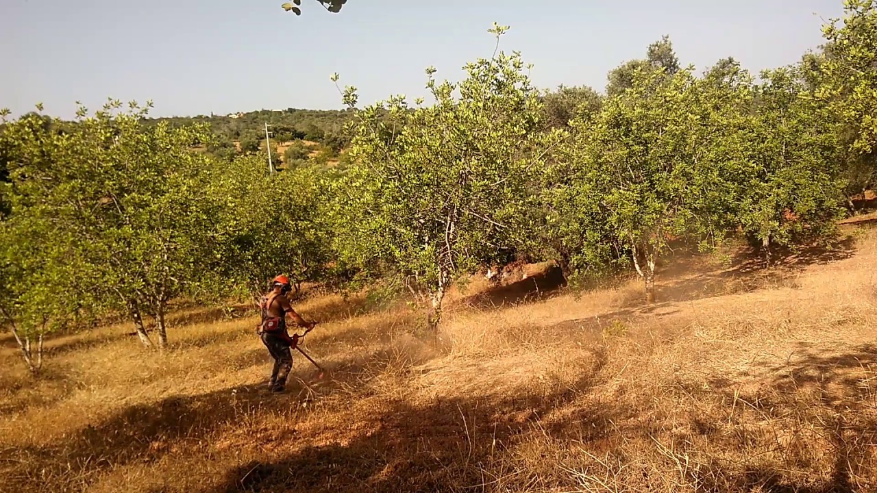 Husqvarna 555 FRM