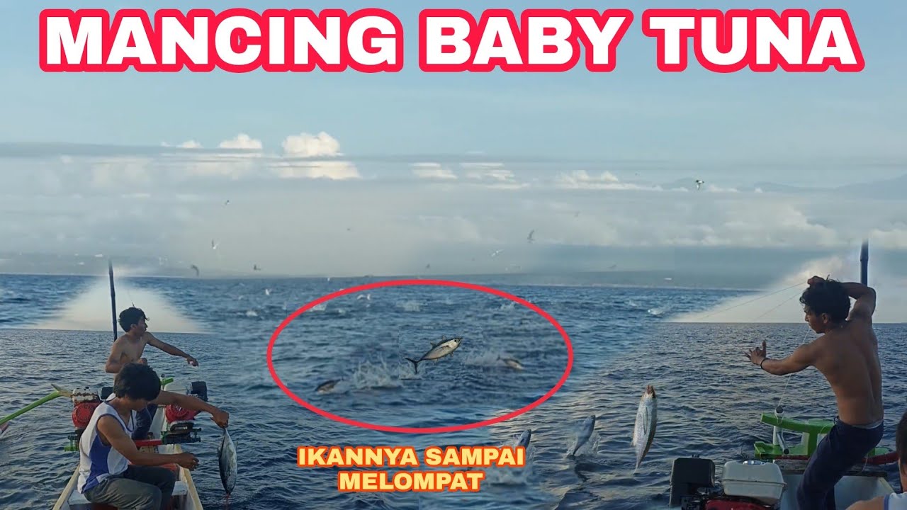 MANCING CAKALANG/TUNA eps.1 TERNYATA BEGINI CARA NELAYAN INI MENANGKAP IKAN TUNA ⁉️