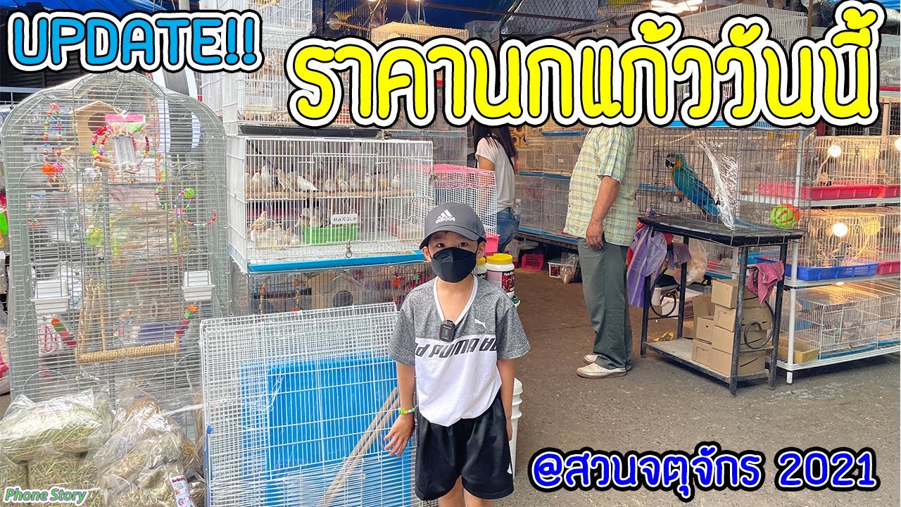 UPDATE!! ราคานกแก้ววันนี้ และ บรรยากาศ จตุจักร เดือนพฤศจิกายน 2021