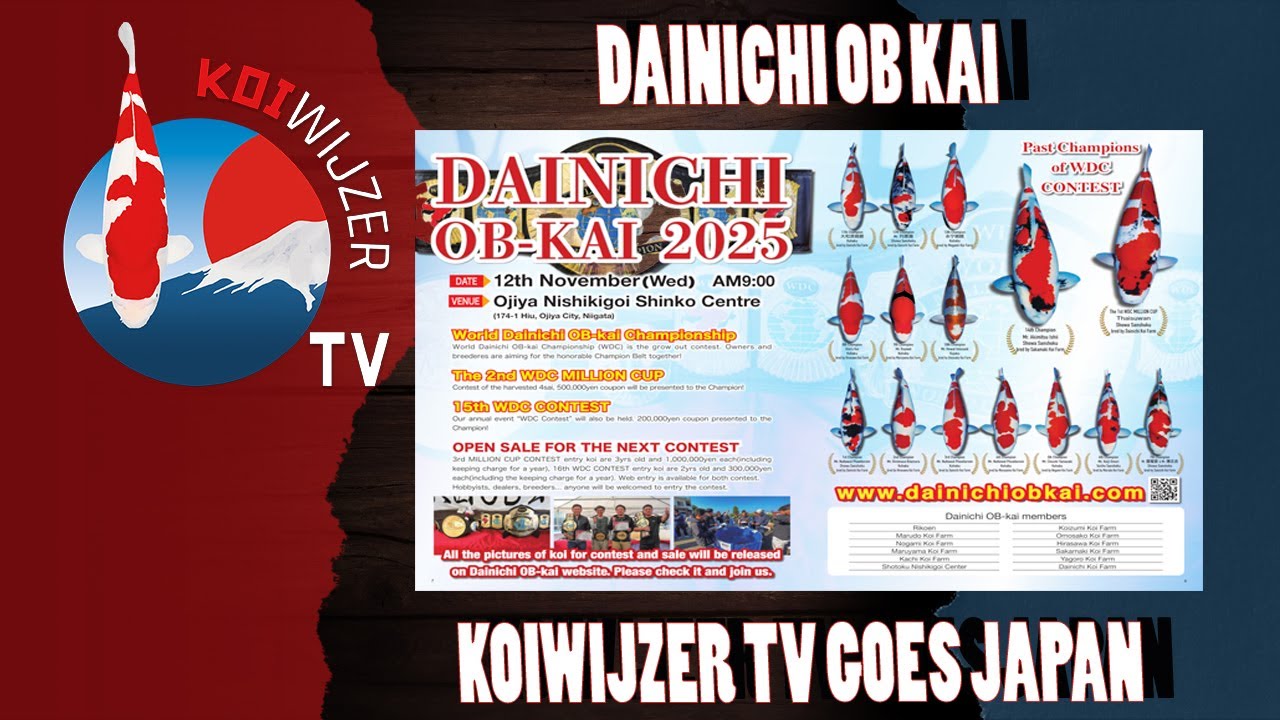 Dainichi OB Kai: een uniek evenement in het hart van Niigata