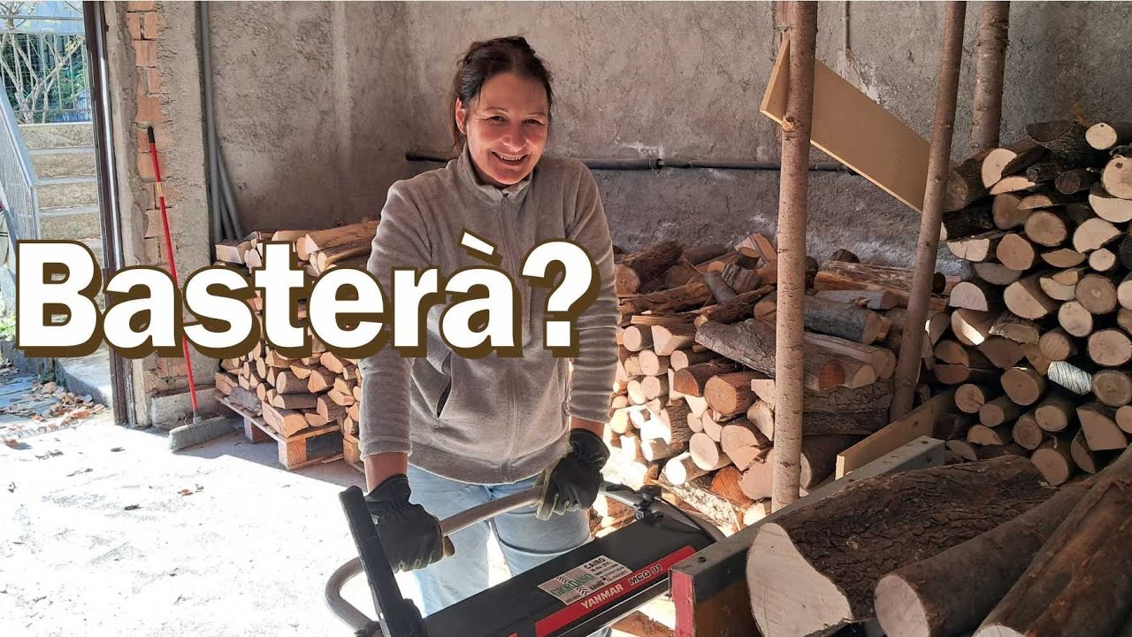 LEGNA  per l'inverno, ci prepariamo ma vivendo qui basterà?